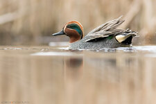 _Q5A1234.jpg _Q5A1234.jpg