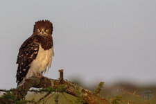 Canon EOS 5D Mark III_053024005562__G2A7857.jpg