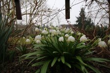 IMG_3592.jpg