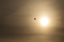 FC_A90B2900+.jpg