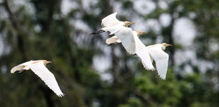 IMGL4279 (25 von 1).jpg IMGL4279 (25 von 1).jpg