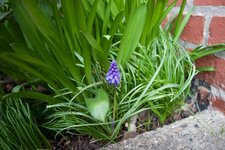 IMG_3677.jpg
