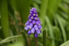 IMG_3680.jpg