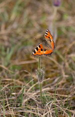 Q22A6304-Bearbeitet.jpg