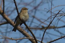 20130424-121257.JPG