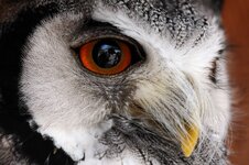 DSC_6325_ebv2.jpg DSC_6325_ebv2.jpg