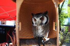 DSC_6408_ebv2.jpg DSC_6408_ebv2.jpg