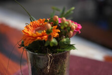 X-E1 2015.03.27 b.jpg