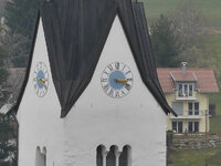 P1360417-100-5,6-crop.jpg
