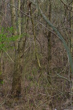 DSCF0229.jpg