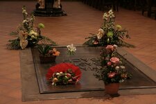 IMG_3352_top.jpg