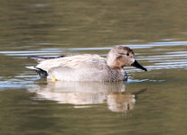 IMGL4279 (47 von 1).jpg