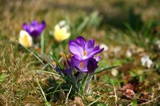 comp_IMG_5183.jpg