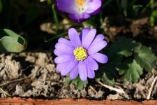 comp_IMG_5185.jpg