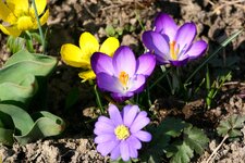 comp_IMG_5184.jpg
