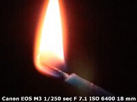 IMG_0082.jpg