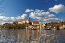 IMG_1233.jpg