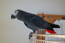 SAM_3214-2.jpg