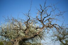 X-E1 2015.04.27 a.jpg