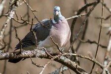 compIMG_6971.jpg