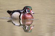 compIMG_6926.jpg