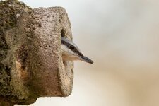 compIMG_6859.jpg