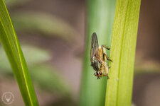 IMG_9815.jpg