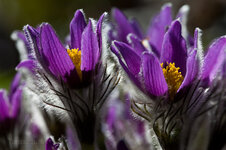 ABG10_4453_1100_c_sRGB.jpg