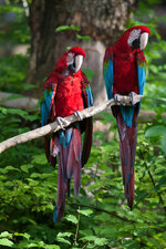 IMG_8941.jpg