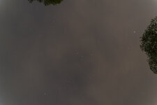 DSC02625.jpg