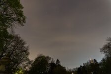 DSC02627.jpg