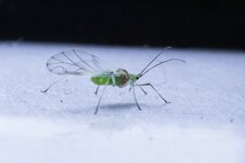 comp_Bild-003-2.jpg