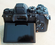 WS110015.jpg