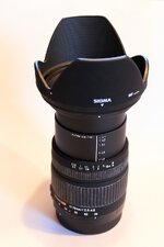 IMG-0088_comp.jpg