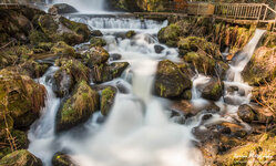 Triberg Waterfalls-29.jpg