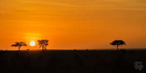 _MG_5541-2.jpg