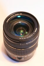 IMG-0090_comp.jpg