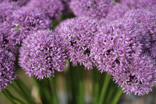 X-E1 2015.05.03 b.jpg