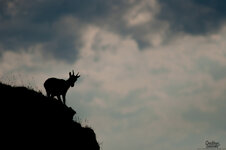 DSC_0051 (2).jpg DSC_0051 (2).jpg