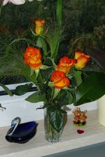 2011-07-23_19h42m15s.jpg