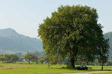 Biberach-1-OhneFilter-1200.jpg