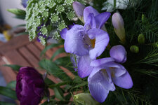DSC04000.jpg