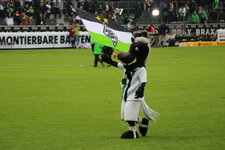 Gladbach-Wolfsburg 1 zu 0-2676.jpg
