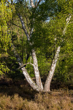 HL5_4265-1.jpg