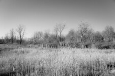 01-NIKON D4-1-500 Sek. bei f - 5,6 BW.jpg