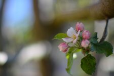 comp_DSC_1651-1.jpg