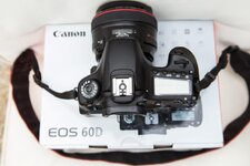 Canon 60D-11-1.jpg