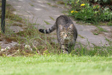 IMG_0208002.jpg