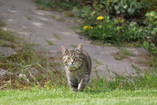 IMG_0209003.jpg