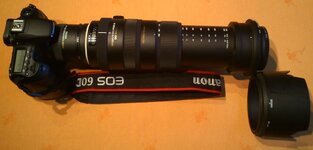 Sigma50-500_als_2-1_Macro.JPG